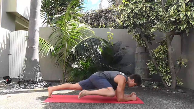 Plank With Spider Crunch