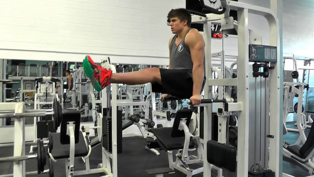 Leg Raise On Dip Bar