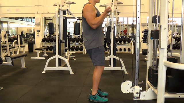 Straight Bar Cable Curls