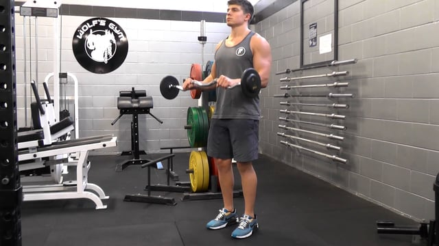 Standing Reverse Grip Curl Using EZ Bar