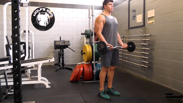 Standing EZ Bar Curls