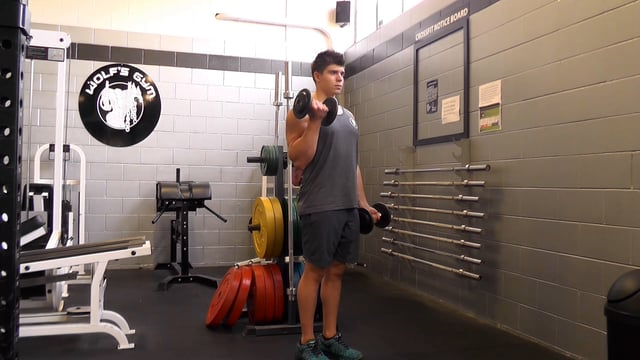 Standing Alternate Dumbbell Curls