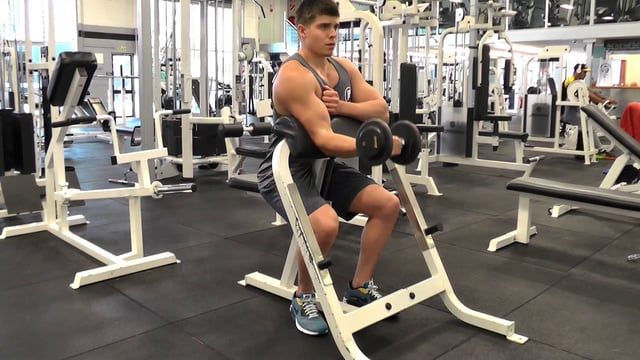 Single Arm Dumbbell Scott Curls