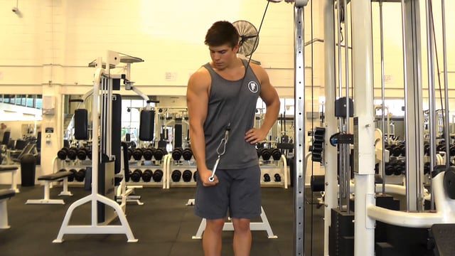 Single Arm Cable Tricep Extension