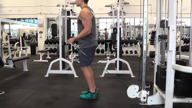 Single Arm Cable Curl