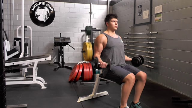 Seated Dumbbell Curls