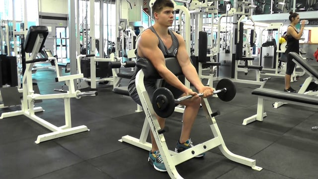 Scott Curls Using EZ Bar