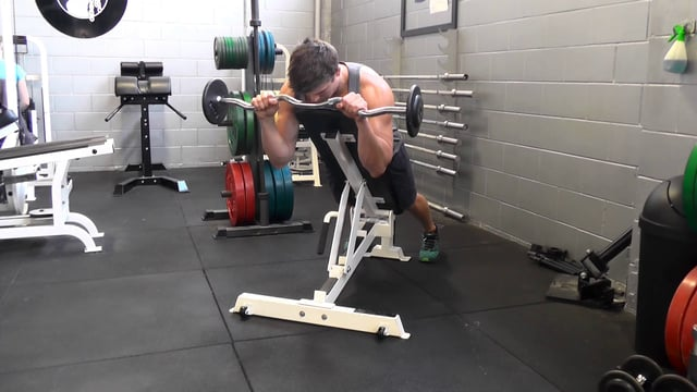 Reverse Grip Spider Curl