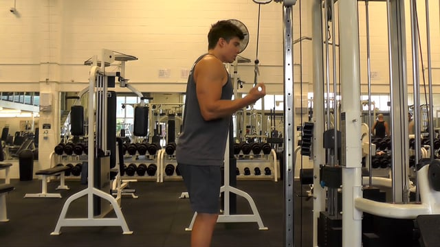 Reverse Grip Cable Tricep Pushdown