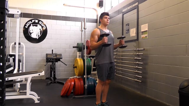Dumbbell Hammer Curl