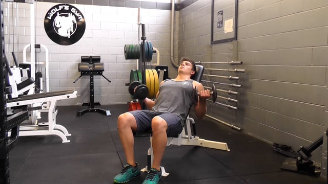 Dumbbell Curl On Incline Bench