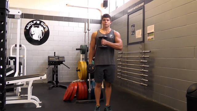 Dumbbell Across Body Hammer Curl