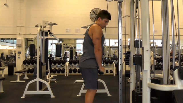 Cable Tricep Pushdown With V Bar