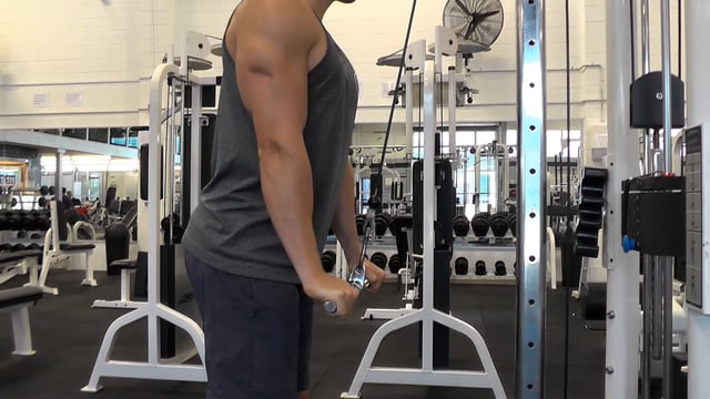 Cable Tricep Pushdown With Straight Bar