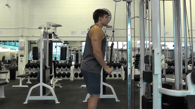Cable Tricep Pushdown With Rope