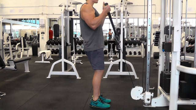 Cable Hammer Curl With Rope