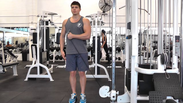 Single Arm Cable Across Body Hammer Curl