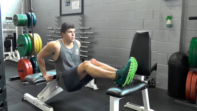 Bench Dips