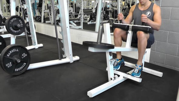 Seated Calf Raise