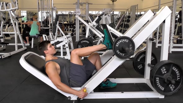 Single Leg - Leg Press