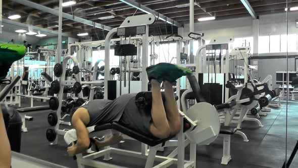 Lying Hamstring Curls