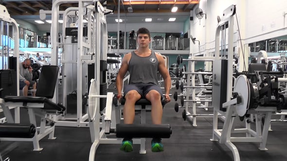 Leg Extensions