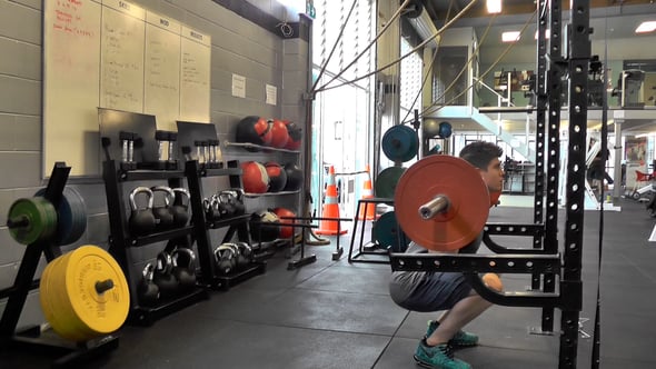 Barbell Squat