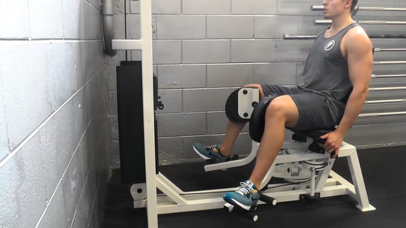 Adductor Machine