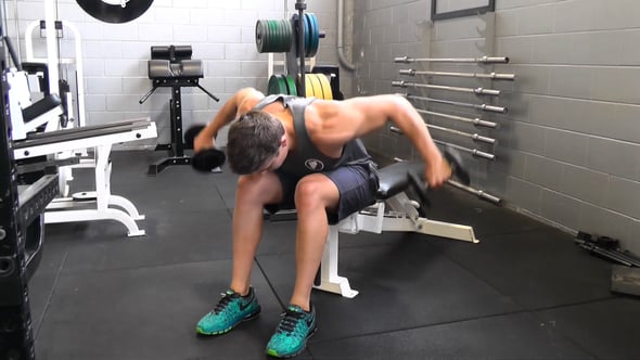 Seated Dumbbell Rear Delt Flye