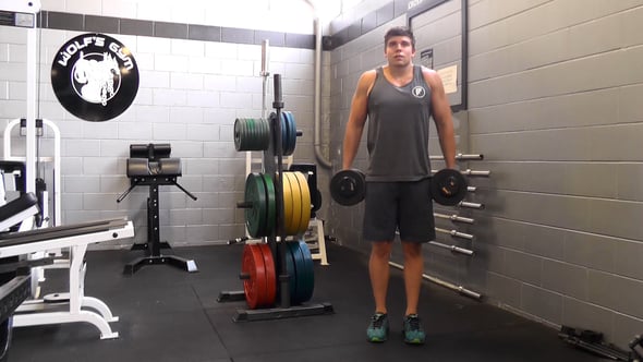 Dumbbell Shrug