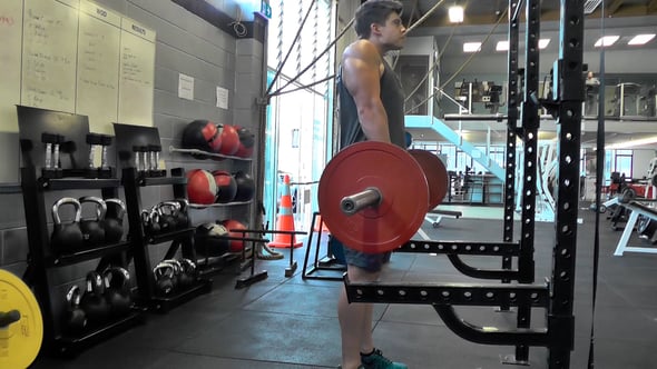 Barbell Shrugs