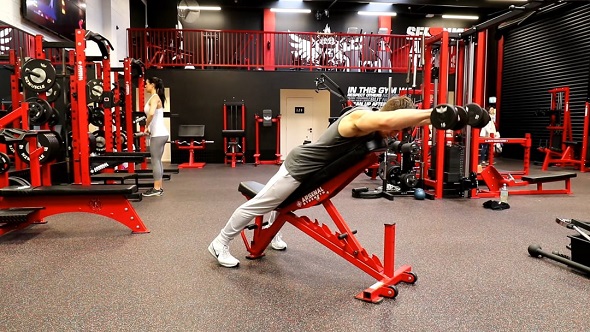 Chest Supported Dumbbell Front Raise