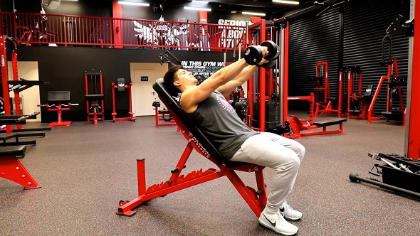 Dumbbell Front Raise On Incline Bench