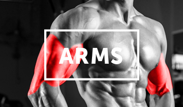 Find all of Iron Playground’s HD Arm Exercise Videos here
