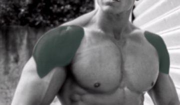 Shoulders exercises