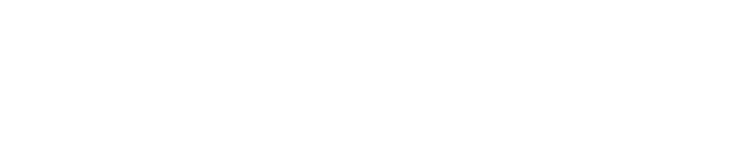 Iron Playground logo